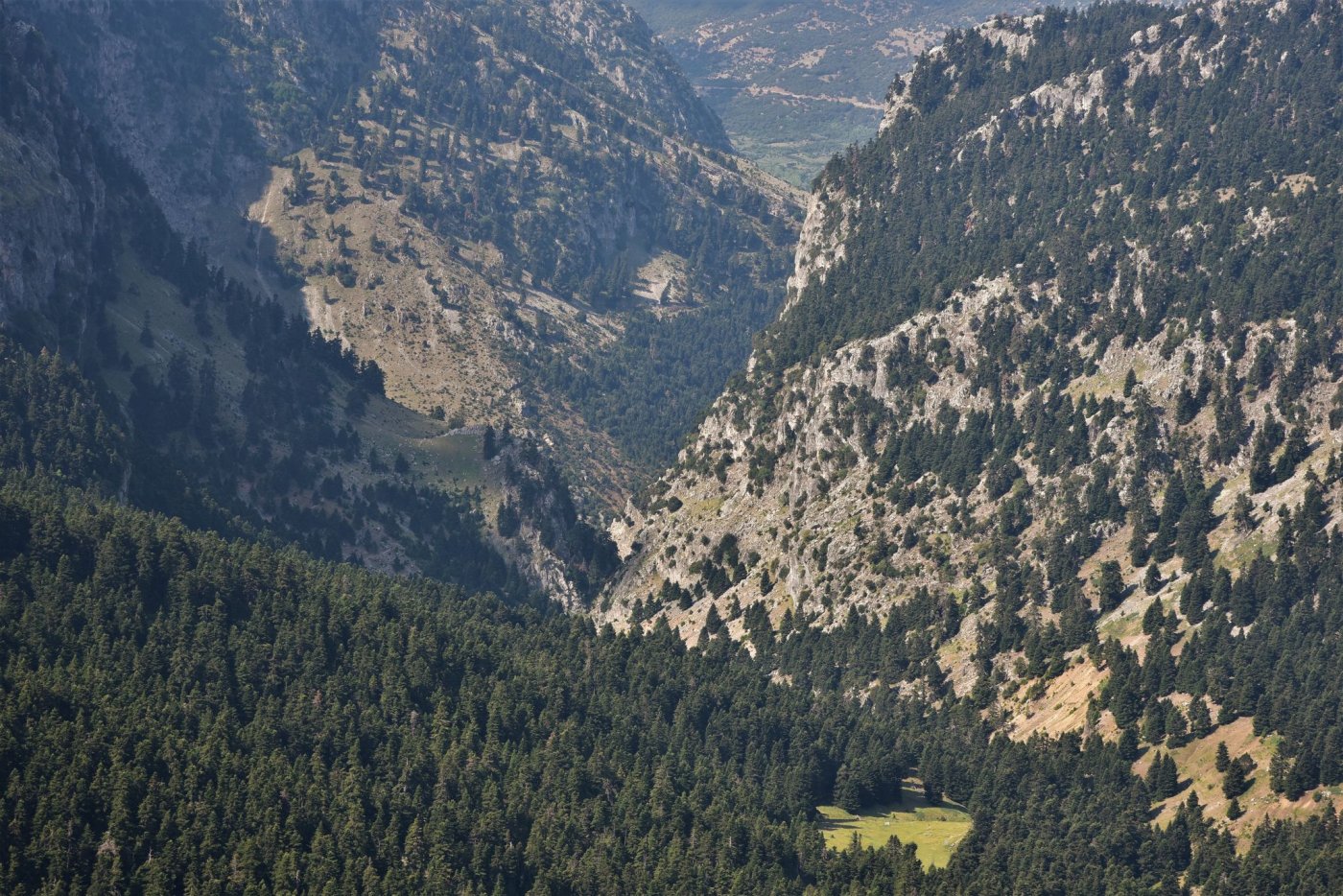 Συνεχίζεται η σήμανση του Pindus Trail στα υψίπεδα της Γκιώνας