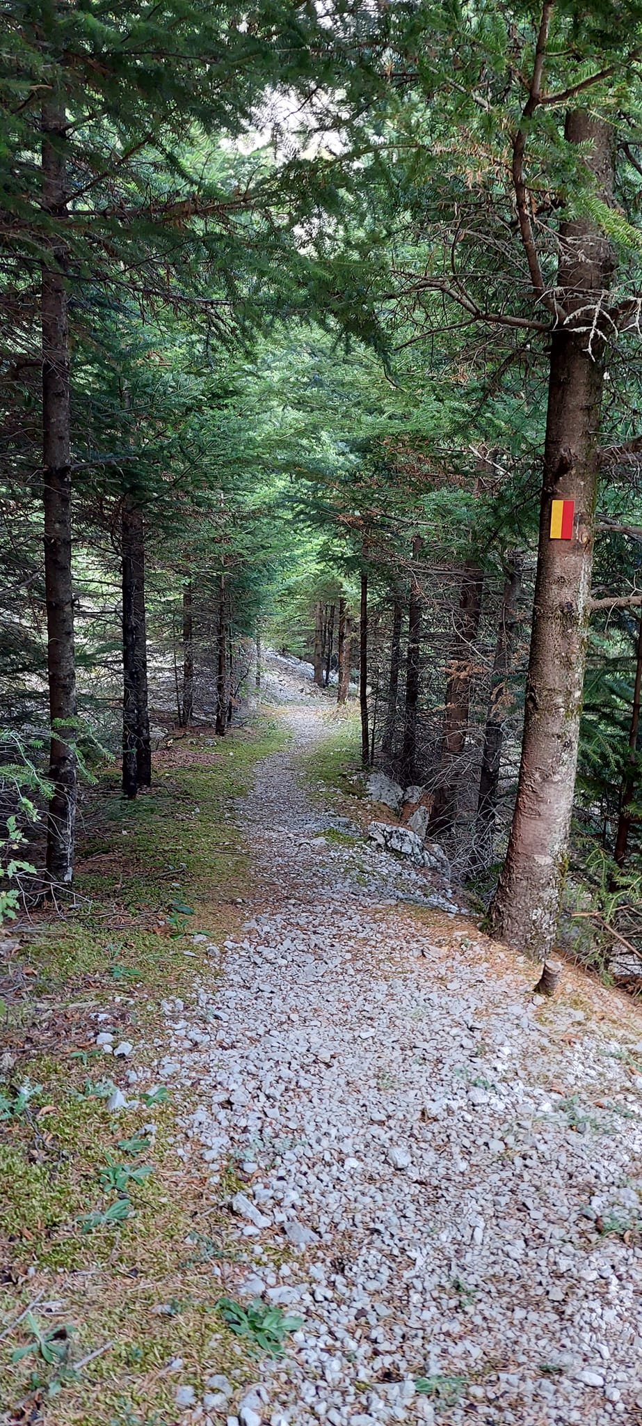 Ολοκληρώθηκε η σήμανση πορείας του Pindus Trail στη Γκιώνα