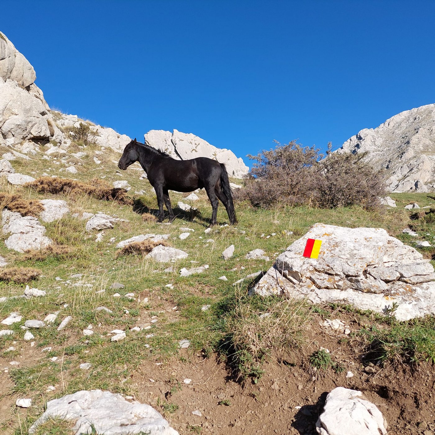 Ολοκληρώθηκε η σήμανση πορείας του Pindus Trail στη Γκιώνα