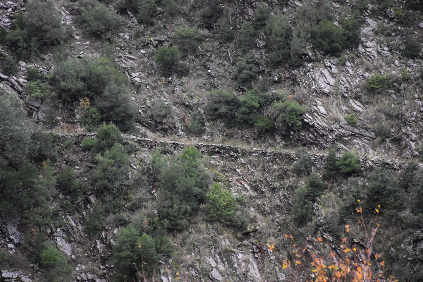 Documentation work for the forestry study and marking of the Marathos - Karvasara section in Agrafa.