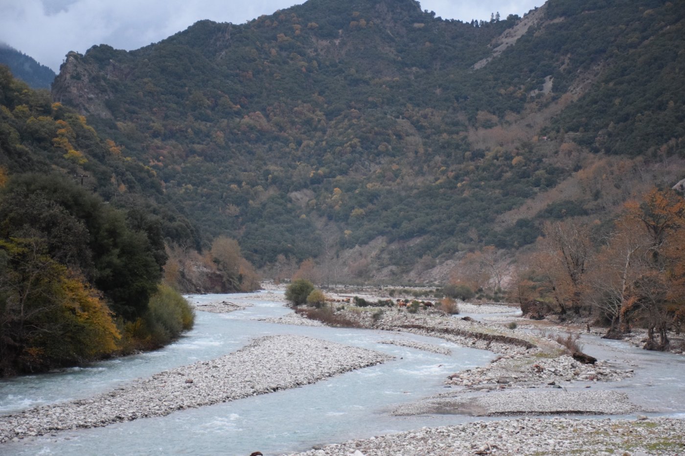 Αποτύπωση για την εκπόνηση της μελέτης και προσήμανση στο τμήμα Μάραθος - Καρβασαράς των Αγράφων.