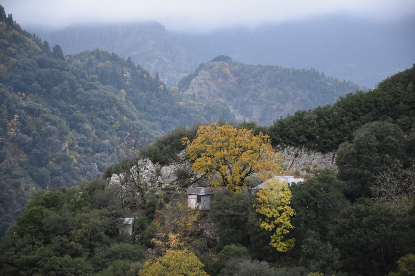 Documentation work for the forestry study and marking of the Marathos - Karvasara section in Agrafa.