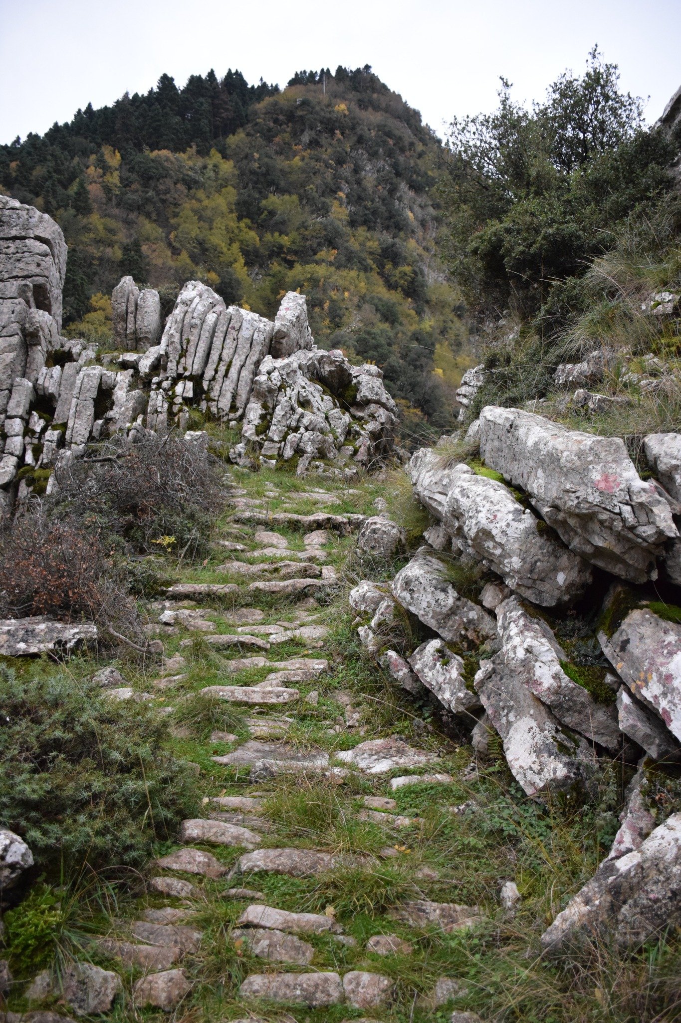 Αποτύπωση για την εκπόνηση της μελέτης και προσήμανση στο τμήμα Μάραθος - Καρβασαράς των Αγράφων.