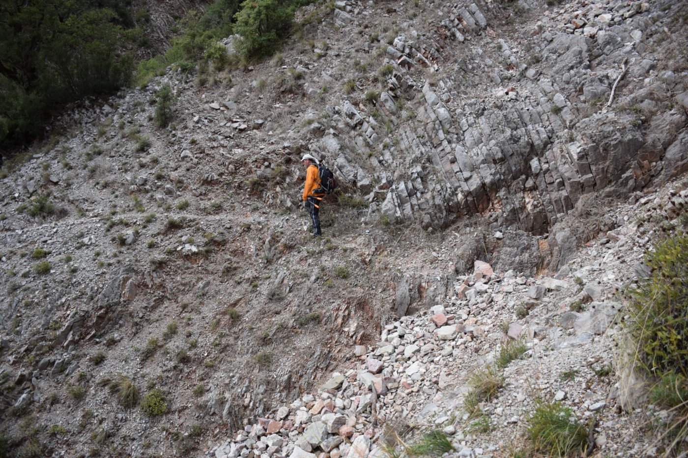 Documentation work for the forestry study and marking of the Marathos - Karvasara section in Agrafa.