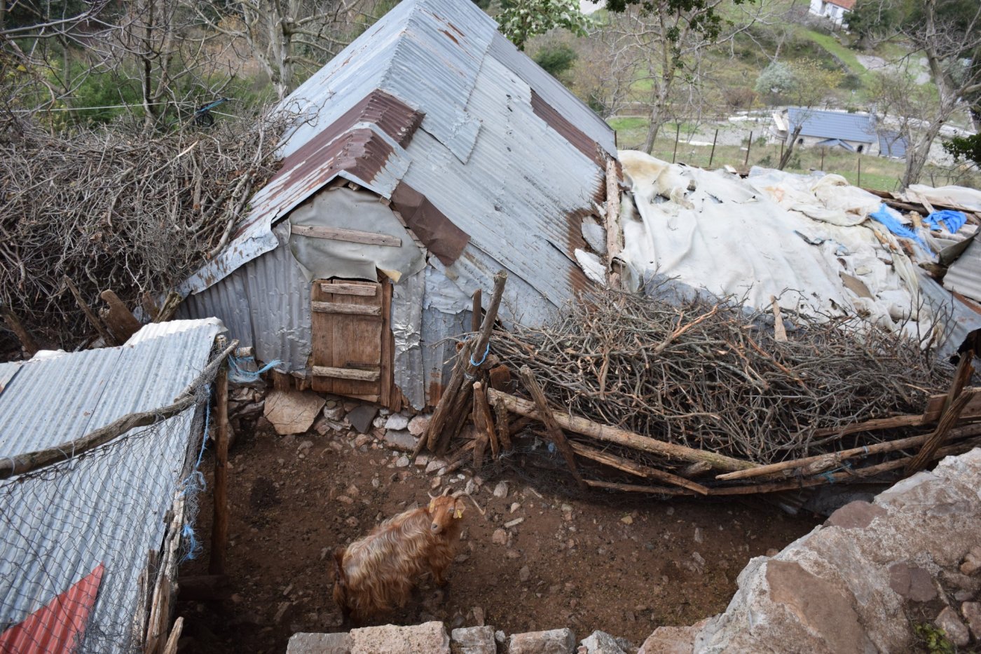 Αποτύπωση για την εκπόνηση της μελέτης και προσήμανση στο τμήμα Μάραθος - Καρβασαράς των Αγράφων.