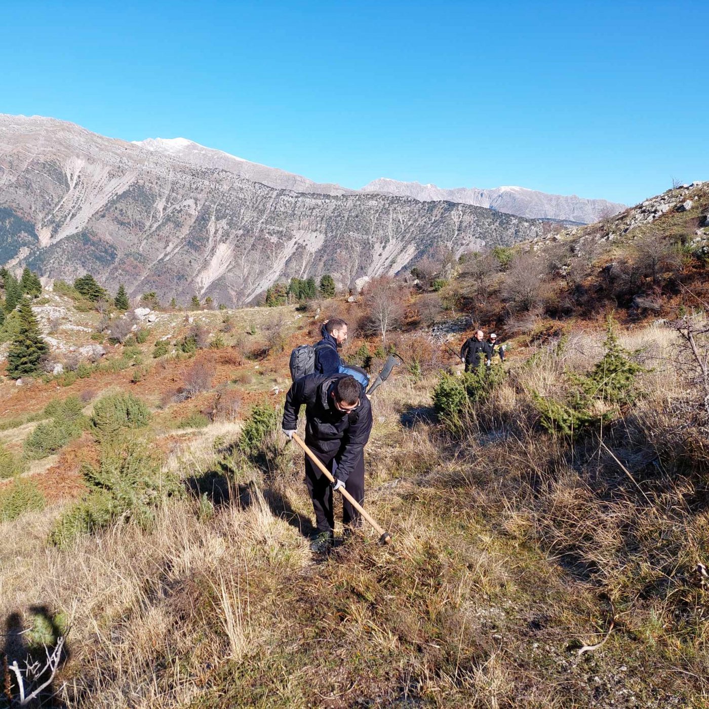 Δράση εθελοντισμού με το Γραφείο Περιβάλλοντος ΠΑΜΑΚ στα Θεοδώριανα