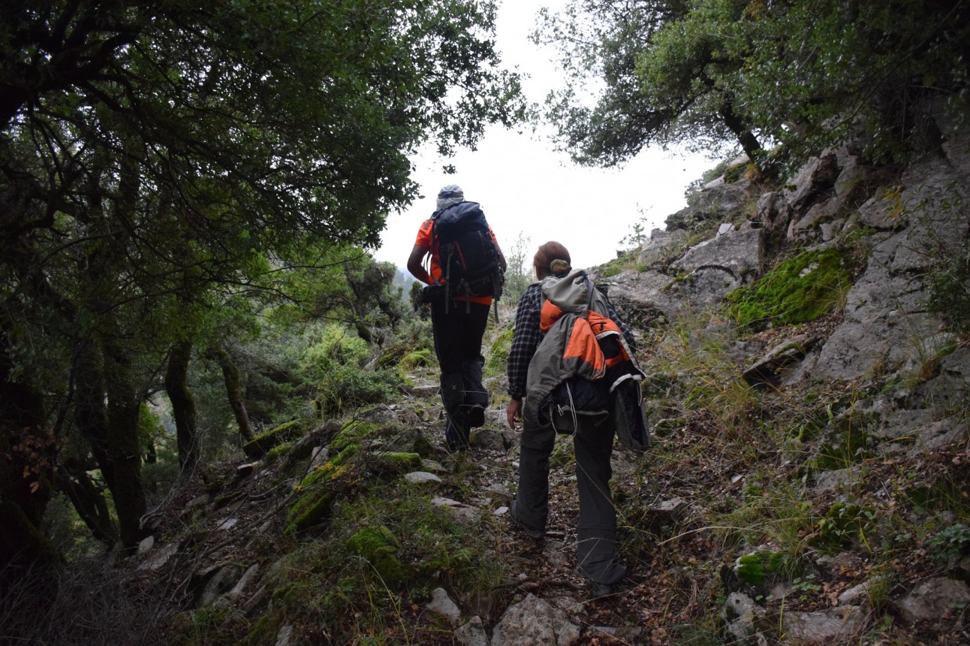 Αποτύπωση για την εκπόνηση της μελέτης και προσήμανση στο τμήμα Μάραθος - Καρβασαράς των Αγράφων.