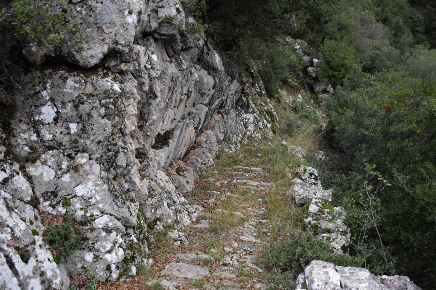 Αποτύπωση για την εκπόνηση της μελέτης και προσήμανση στο τμήμα Μάραθος - Καρβασαράς των Αγράφων.