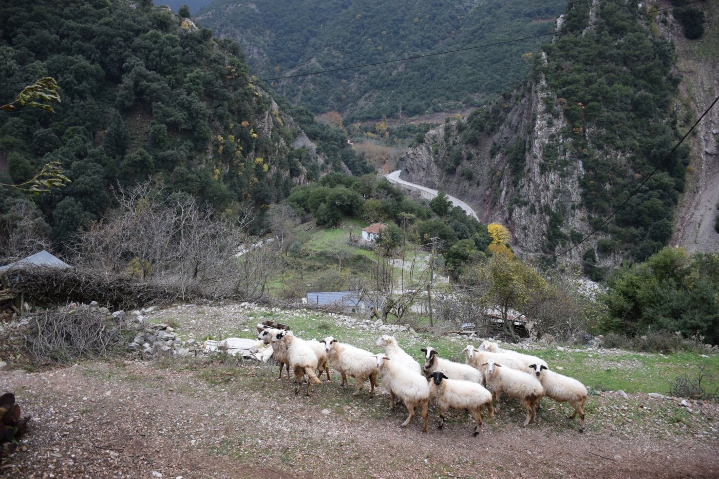 Αποτύπωση για την εκπόνηση της μελέτης και προσήμανση στο τμήμα Μάραθος - Καρβασαράς των Αγράφων.