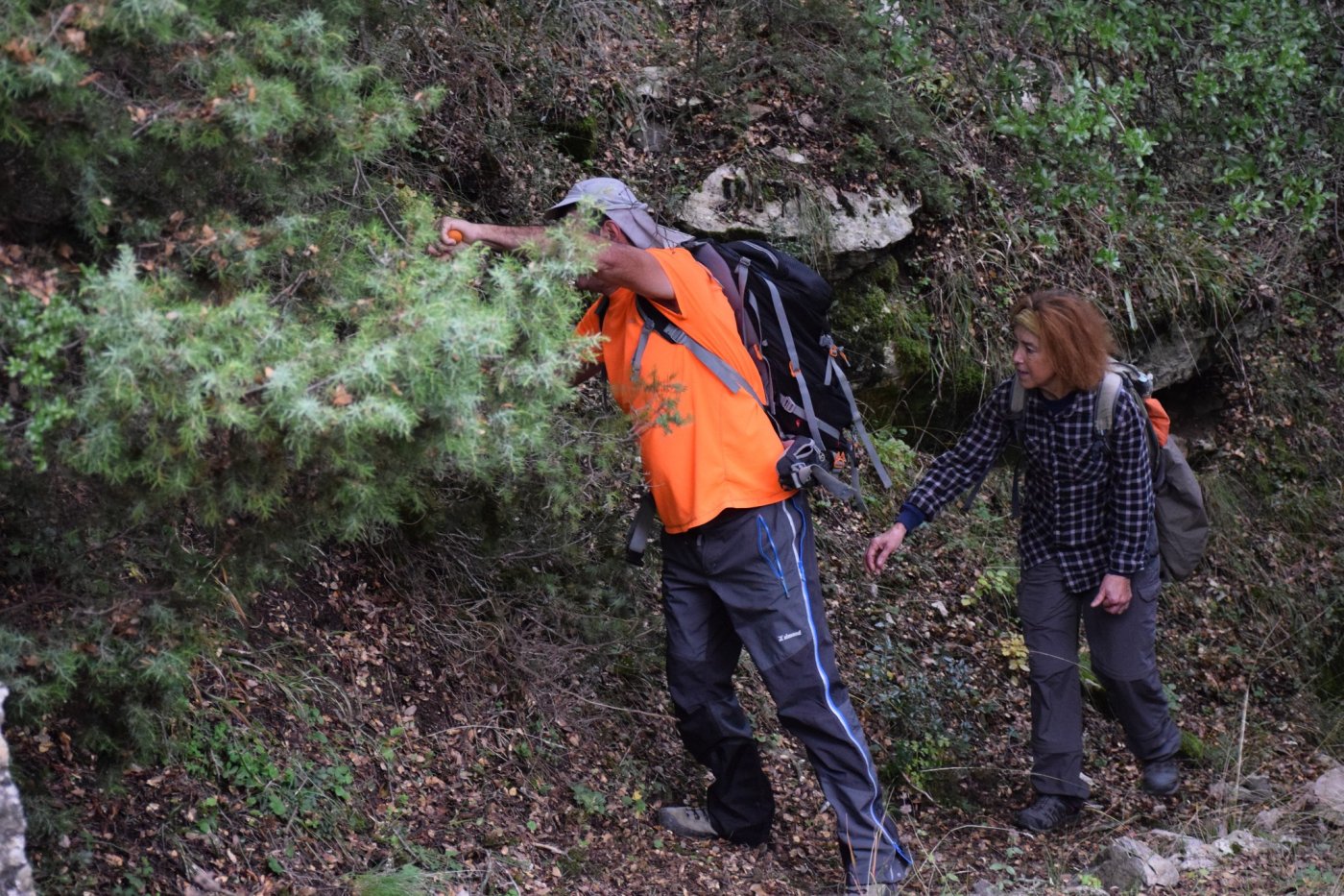 Documentation work for the forestry study and marking of the Marathos - Karvasara section in Agrafa.