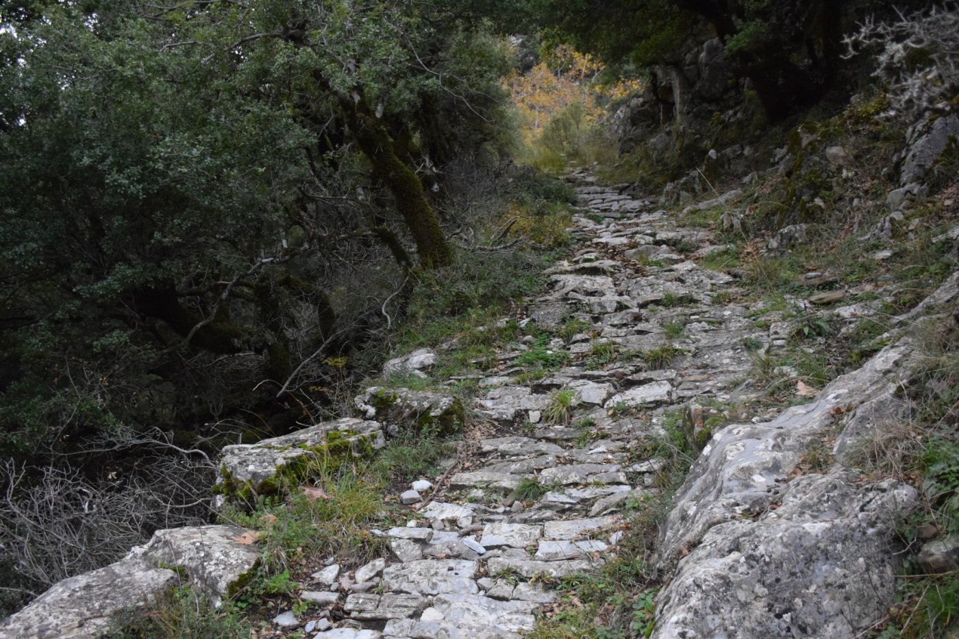 Αποτύπωση για την εκπόνηση της μελέτης και προσήμανση στο τμήμα Μάραθος - Καρβασαράς των Αγράφων.