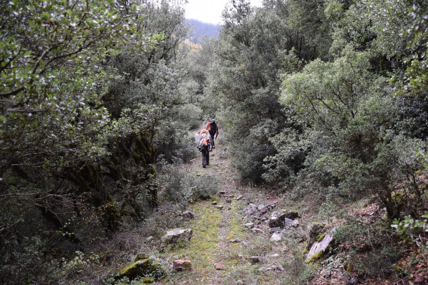 Αποτύπωση για την εκπόνηση της μελέτης και προσήμανση στο τμήμα Μάραθος - Καρβασαράς των Αγράφων.