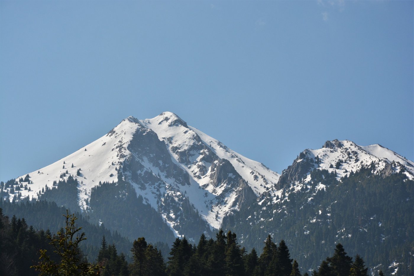 Embracing the Enchantment of Snowfall in Pindos Mountains