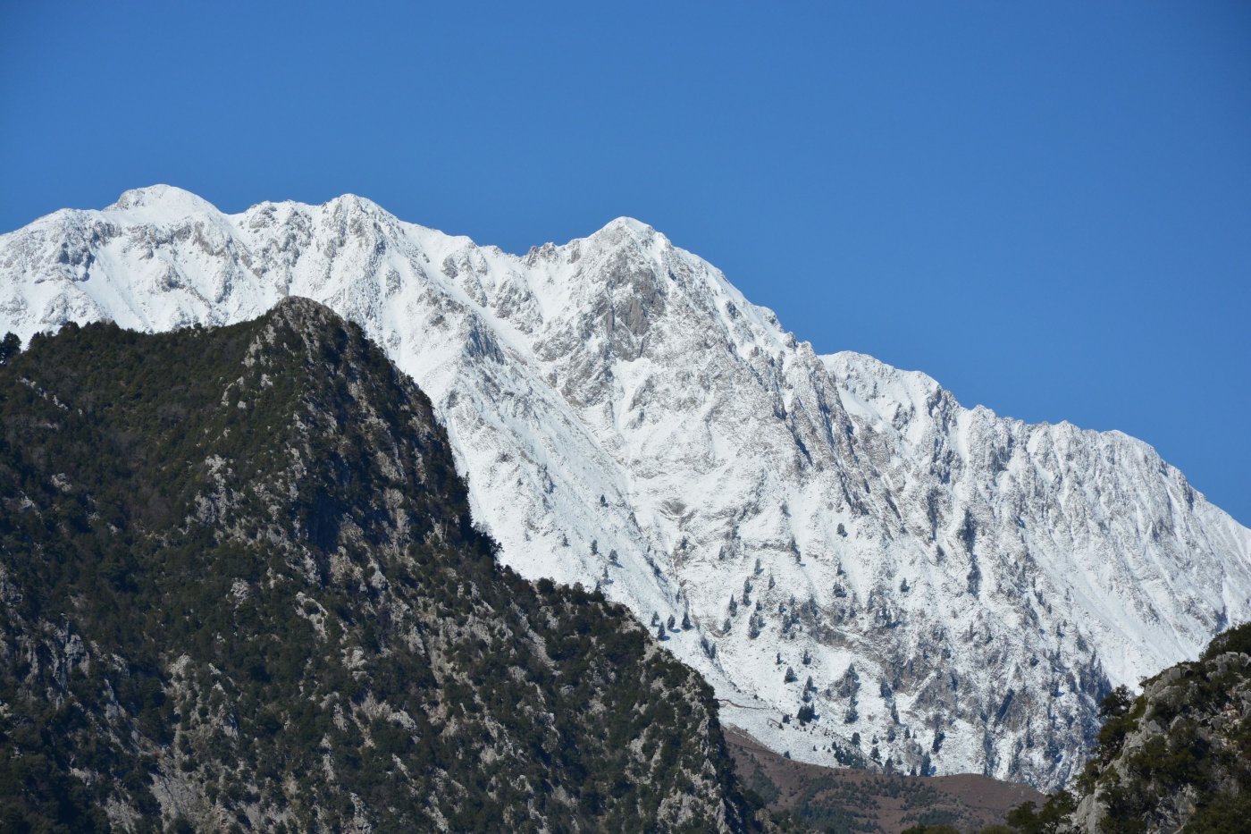 Embracing the Enchantment of Snowfall in Pindos Mountains