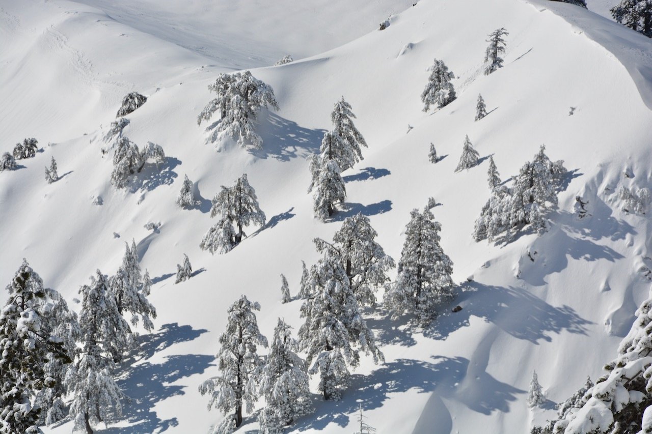 Embracing the Enchantment of Snowfall in Pindos Mountains