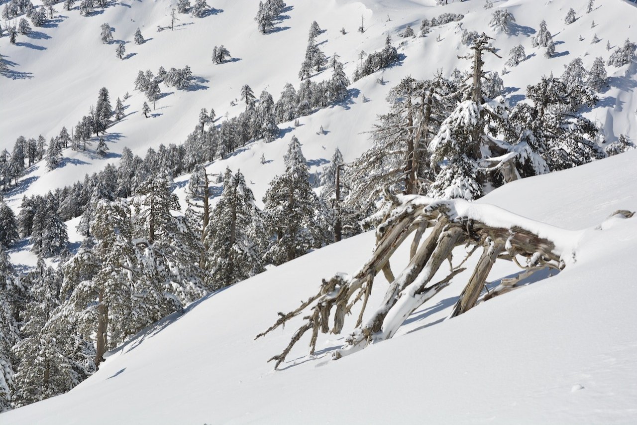 Embracing the Enchantment of Snowfall in Pindos Mountains