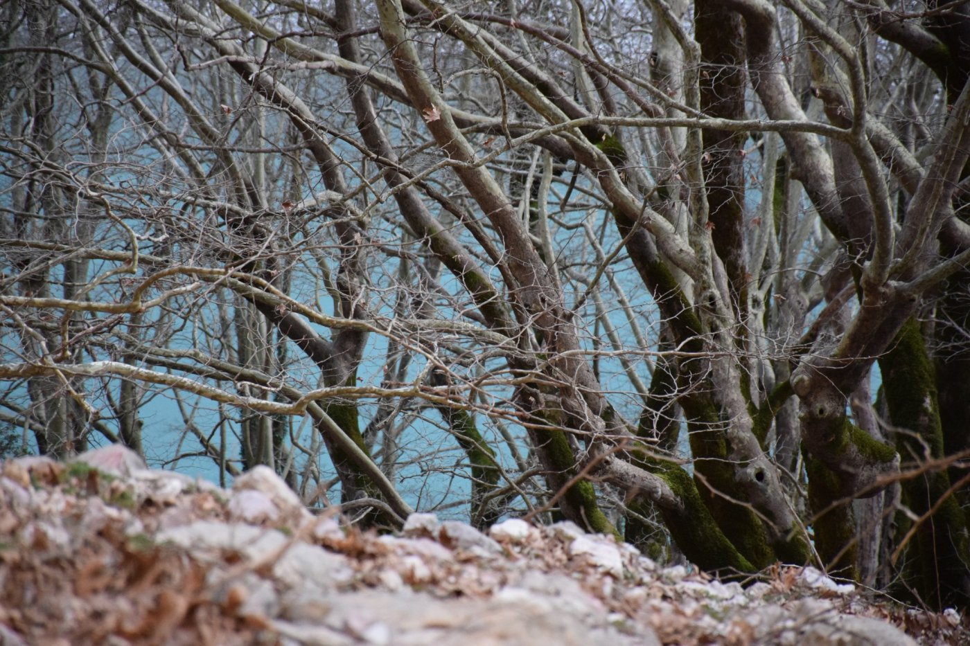 Στα χαμένα ίχνη μιας αρχαίας διαδρομης "Μυλογόζι - Καρακονήσι"