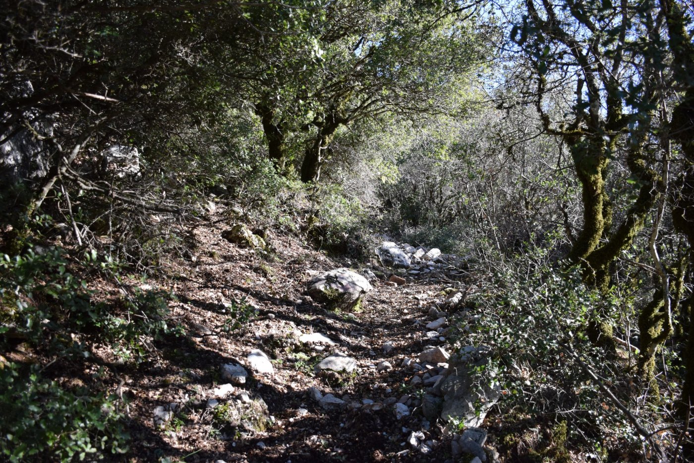 Στα χαμένα ίχνη μιας αρχαίας διαδρομης "Μυλογόζι - Καρακονήσι"