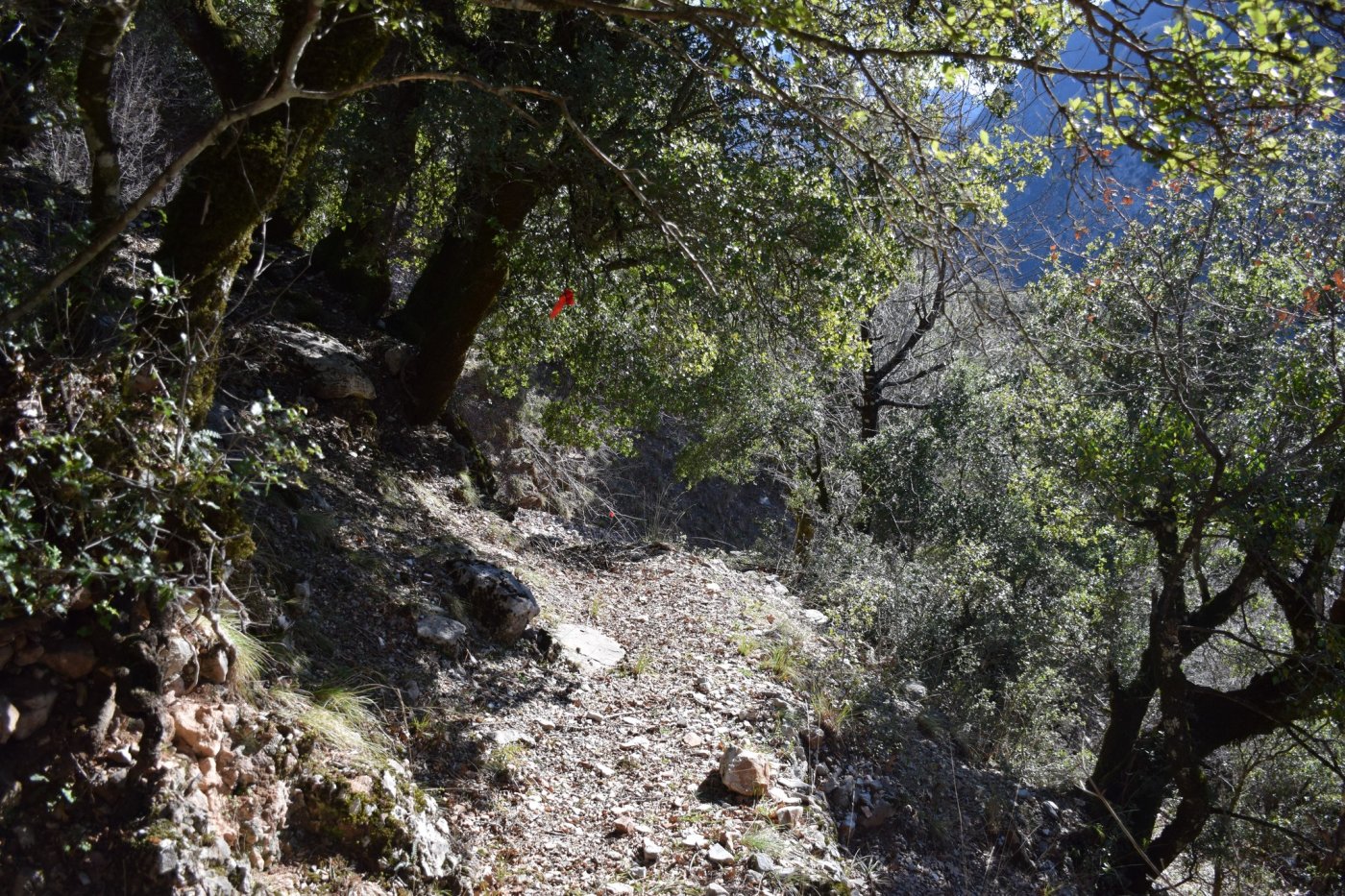 Στα χαμένα ίχνη μιας αρχαίας διαδρομης "Μυλογόζι - Καρακονήσι"