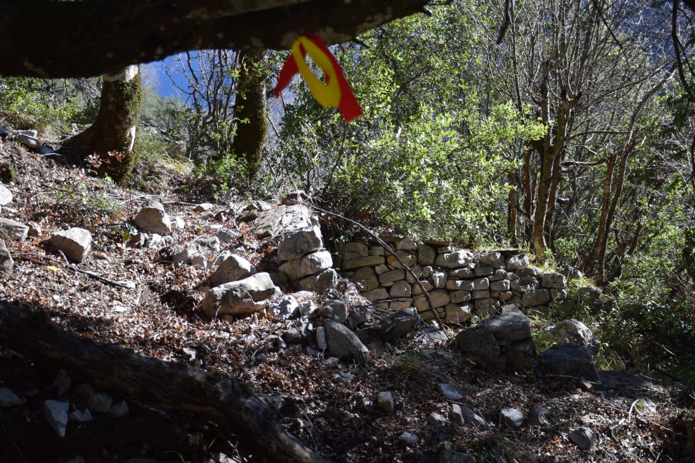 Στα χαμένα ίχνη μιας αρχαίας διαδρομης "Μυλογόζι - Καρακονήσι"