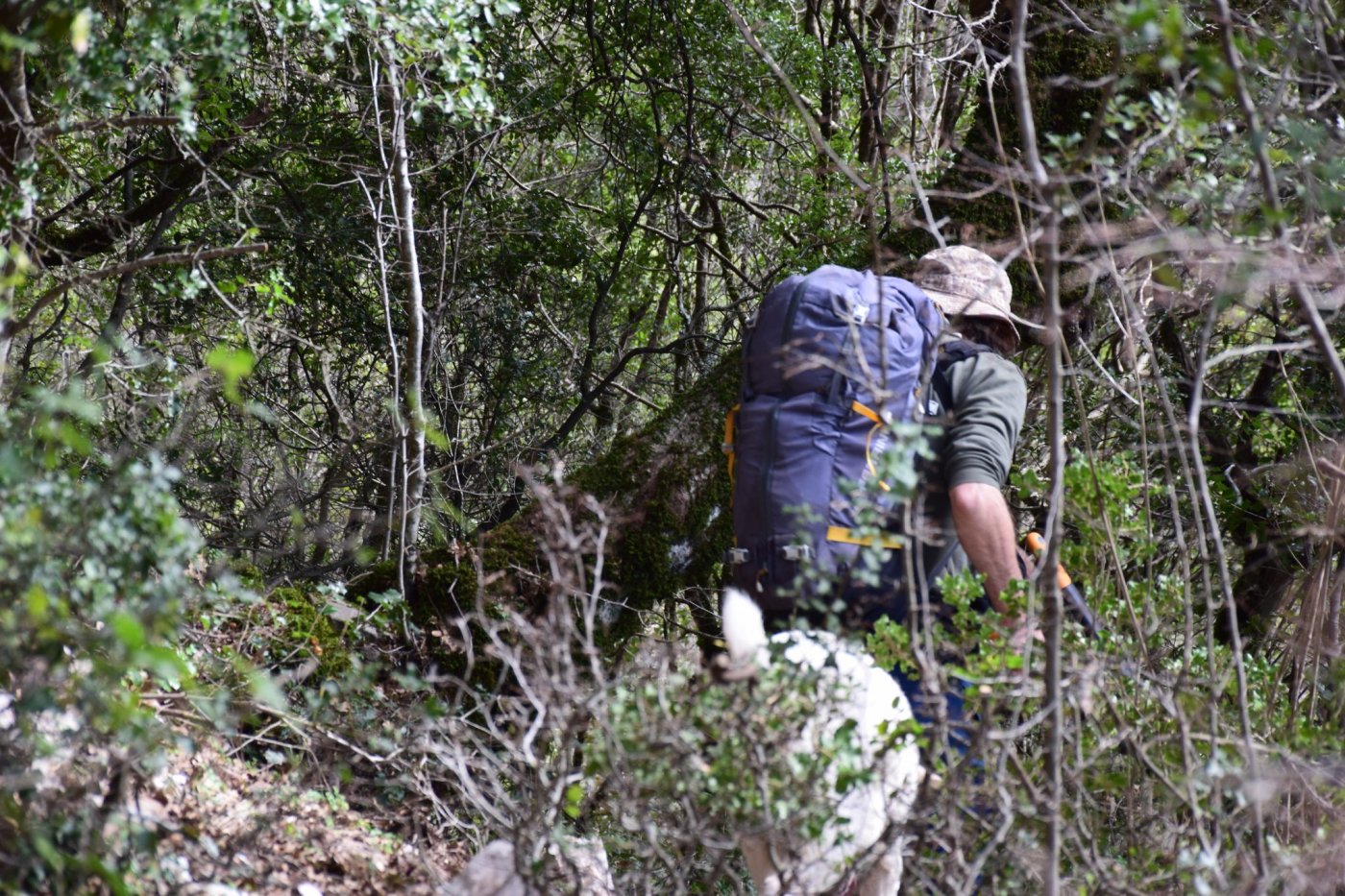 Στα χαμένα ίχνη μιας αρχαίας διαδρομης "Μυλογόζι - Καρακονήσι"