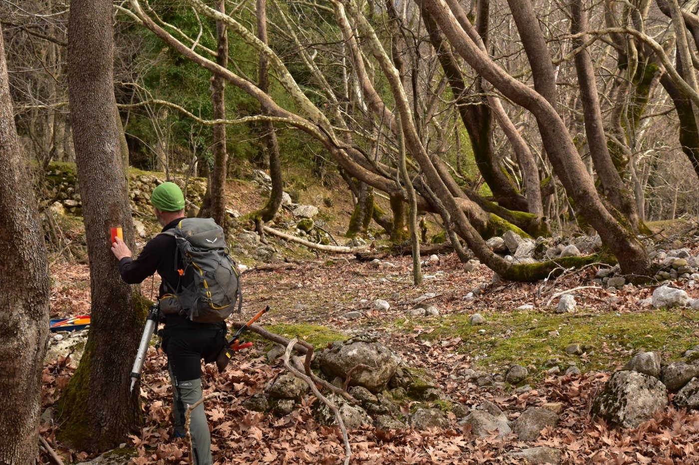 The signposting of the Sykia - Mornos path for the connection of Ghiona and Vardousia moyntains was completed.