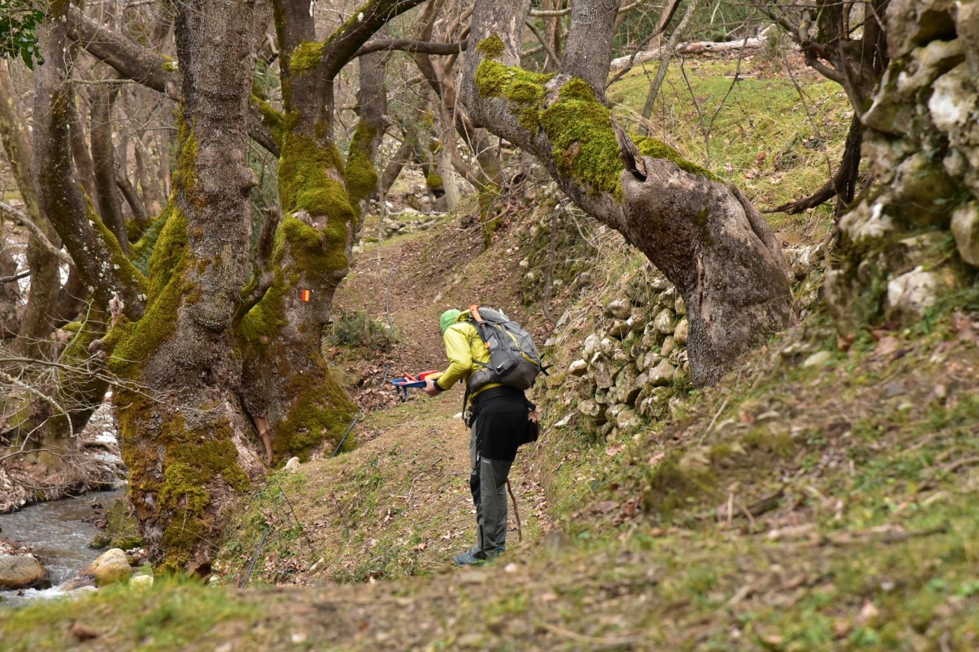 The signposting of the Sykia - Mornos path for the connection of Ghiona and Vardousia moyntains was completed.