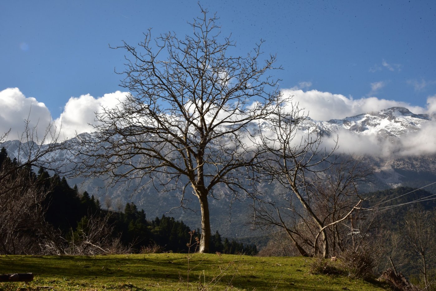 The signposting of the Sykia - Mornos path for the connection of Ghiona and Vardousia moyntains was completed.