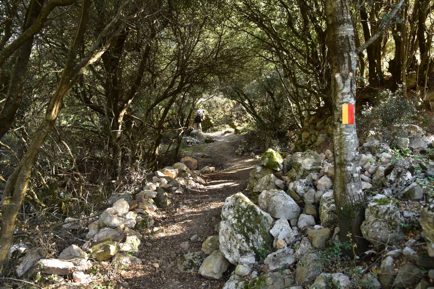 The signposting of the Sykia - Mornos path for the connection of Ghiona and Vardousia moyntains was completed.