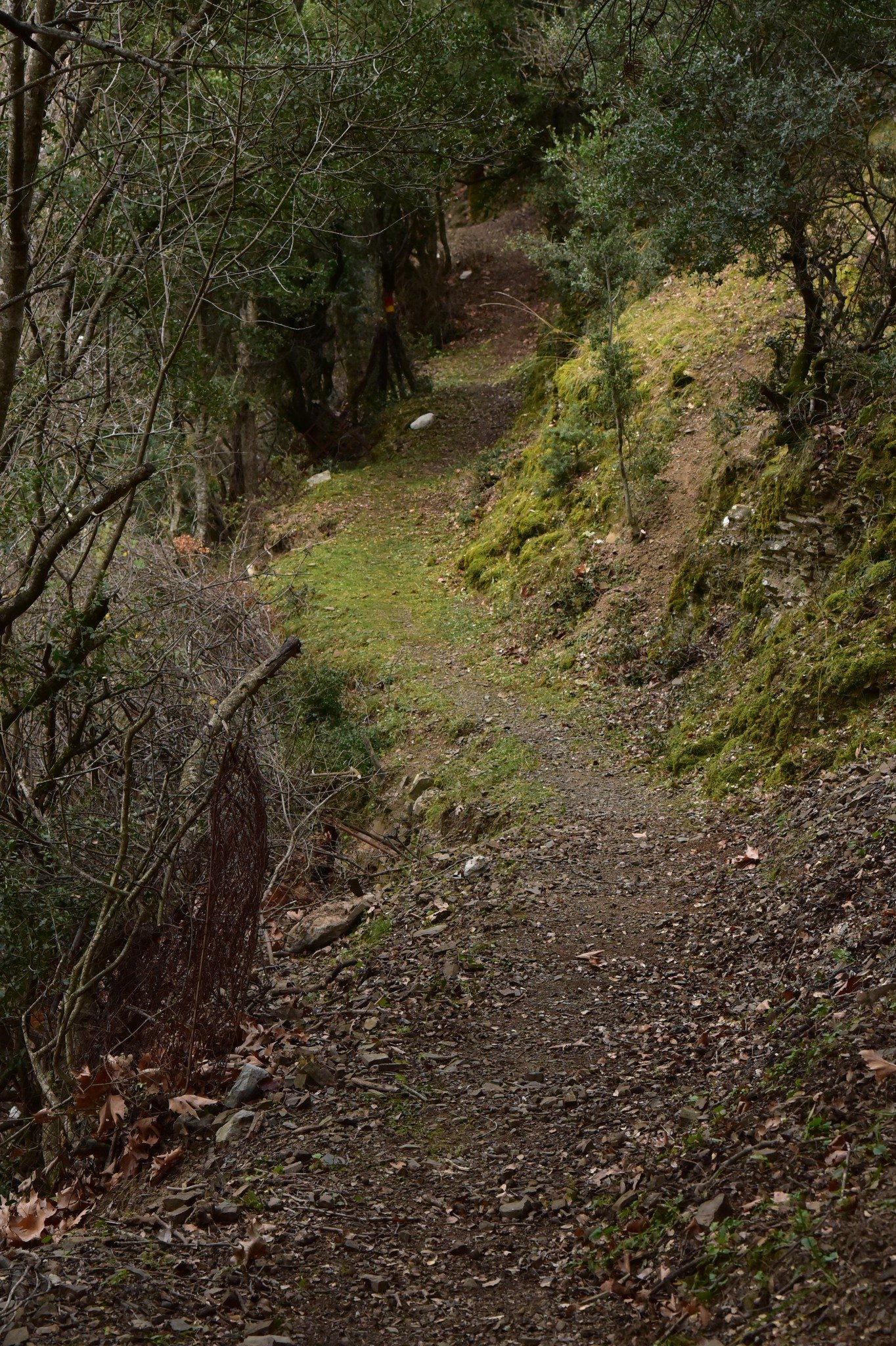 The signposting of the Sykia - Mornos path for the connection of Ghiona and Vardousia moyntains was completed.