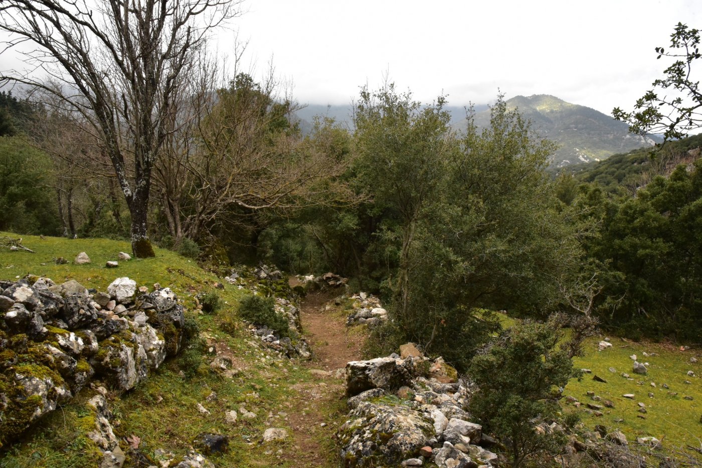 The signposting of the Sykia - Mornos path for the connection of Ghiona and Vardousia moyntains was completed.