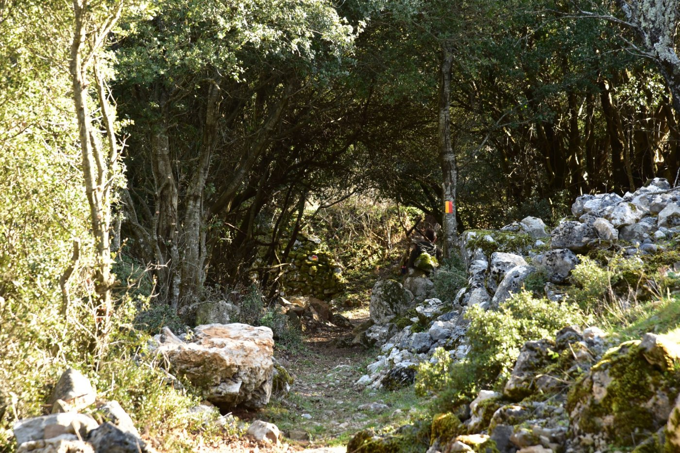 Προχώρησε η τελική σηματοδότηση πορείας του τμήματος Συκιά - Μόρνος για την σύνδεση Γκιώνας, Βαρδουσίων.