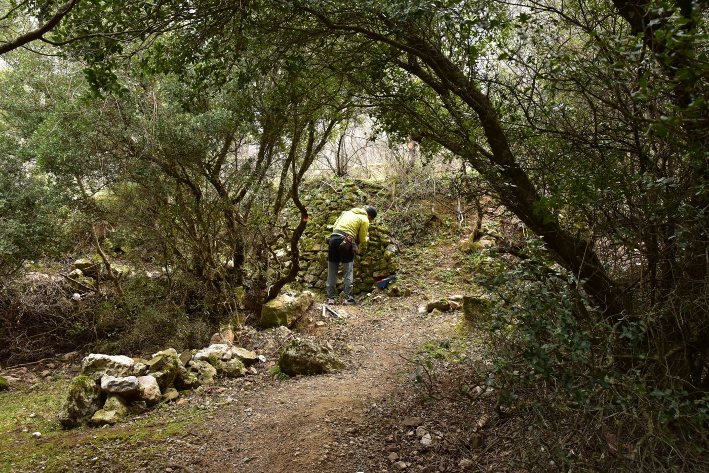 The signposting of the Sykia - Mornos path for the connection of Ghiona and Vardousia moyntains was completed.