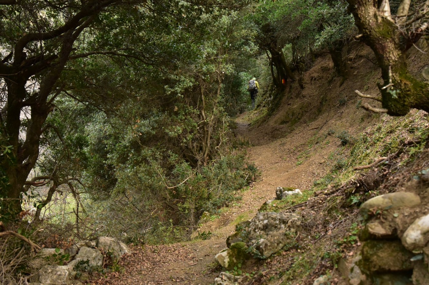 Προχώρησε η τελική σηματοδότηση πορείας του τμήματος Συκιά - Μόρνος για την σύνδεση Γκιώνας, Βαρδουσίων.