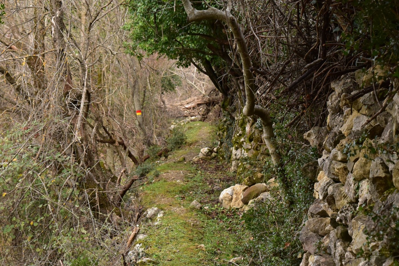 The signposting of the Sykia - Mornos path for the connection of Ghiona and Vardousia moyntains was completed.