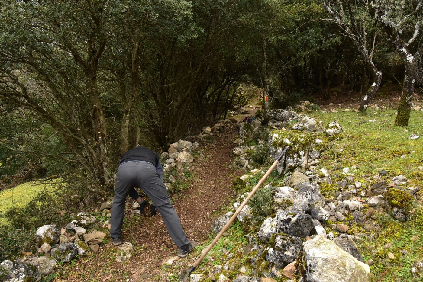 The signposting of the Sykia - Mornos path for the connection of Ghiona and Vardousia moyntains was completed.