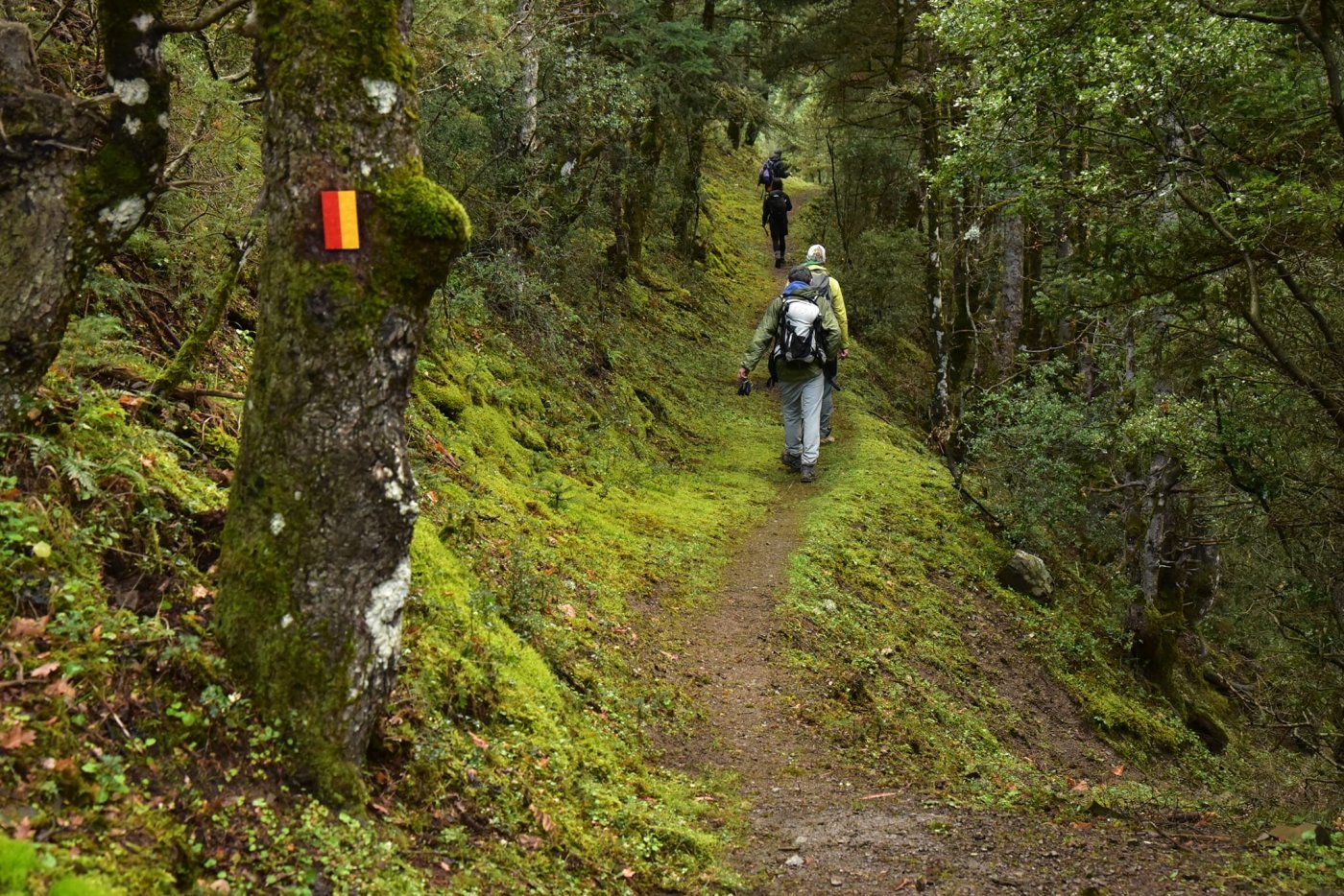 The Pindus Trail > Sykia - Mousounitsa - Ath. Diakos.