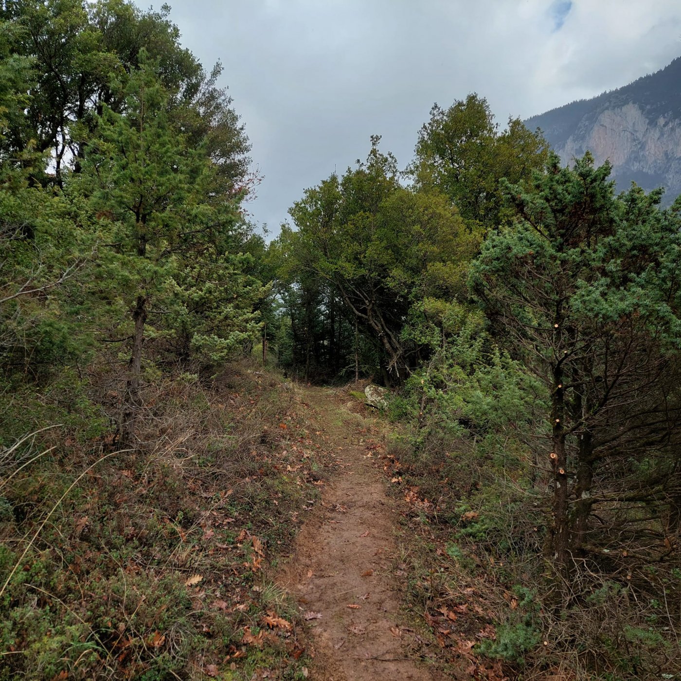 Ολοκληρώνεται το σκέλος του Pindus Trail > Συκιά - Μουσουνίτσα - Αθ. Διάκος.
