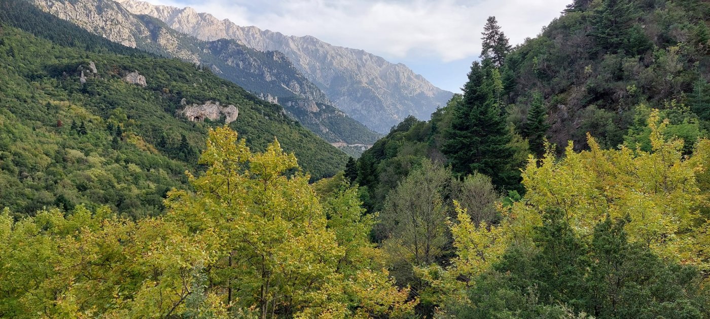 Τα δάση της Ελλάδας και η κλιματική αλλαγή