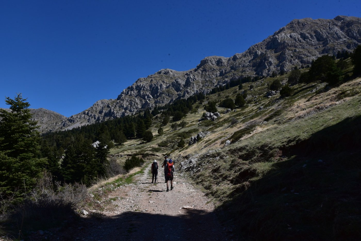  Βαρδούσια, ενημέρωση εξελίξεων 5-9/3