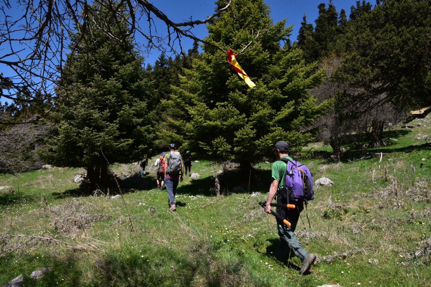  Βαρδούσια, ενημέρωση εξελίξεων 5-9/3