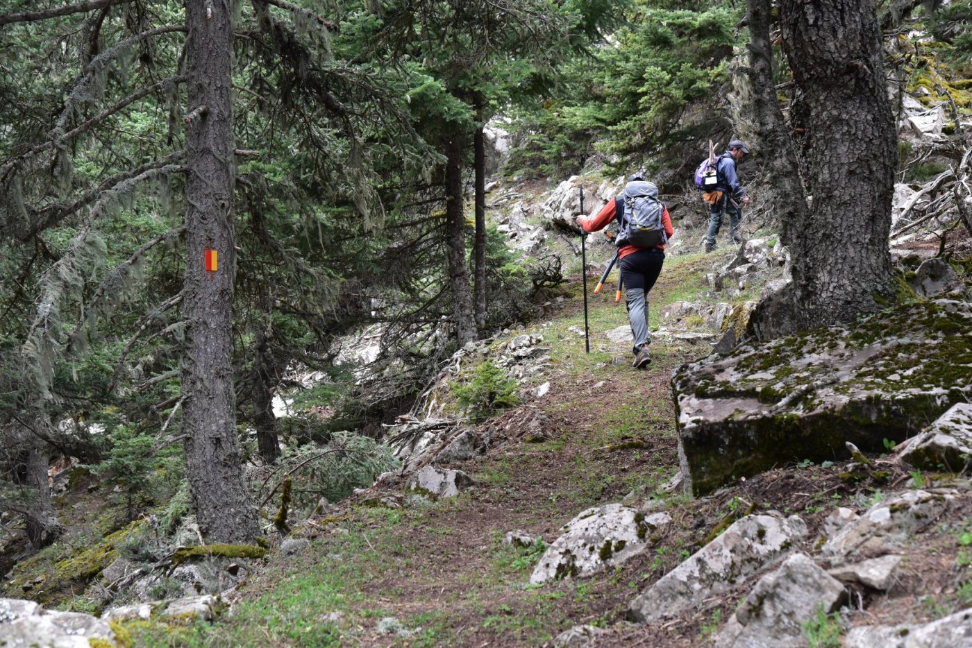  Βαρδούσια, ενημέρωση εξελίξεων 5-9/3