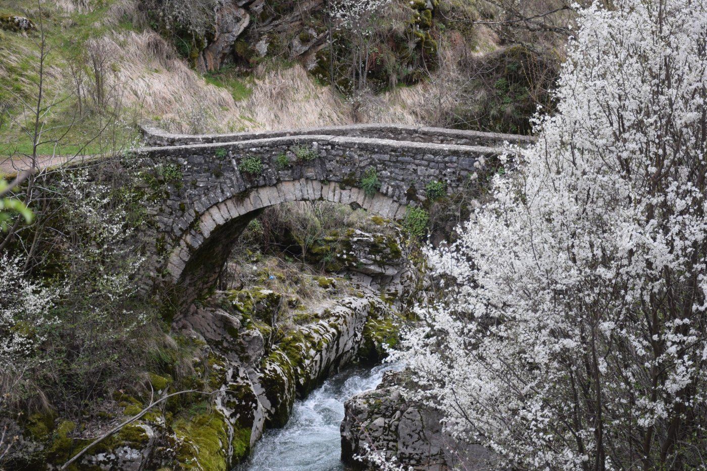 #save_aspropotamos