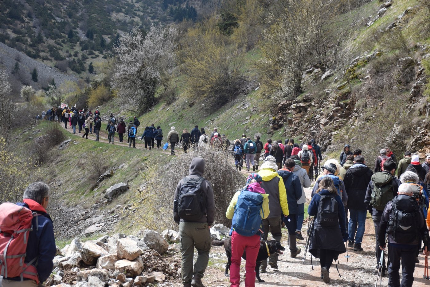 #save_aspropotamos