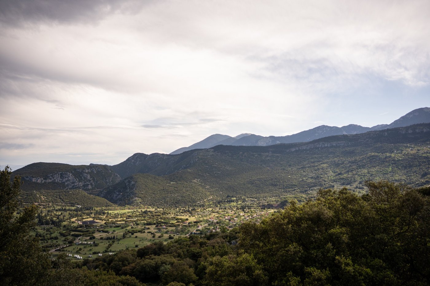 4day Volunteering camp at Viniani, Fokida -> co-organized with the experienced team of Wheeling2Help
