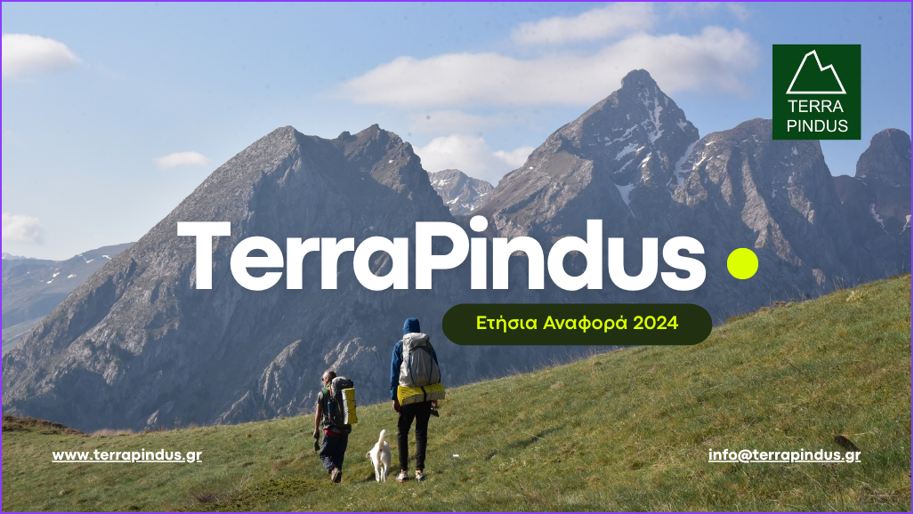 Terra Pindus - Annual Report 2024 
