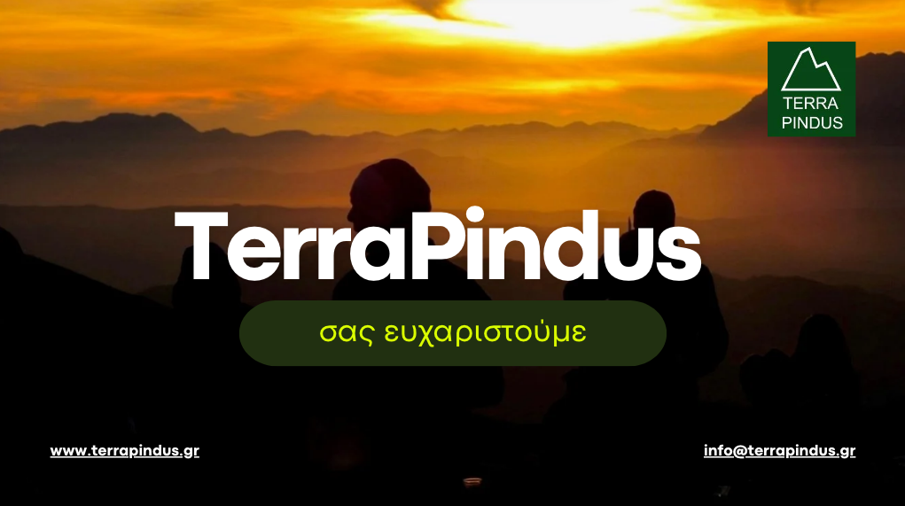 Terra Pindus - Annual Report 2024 