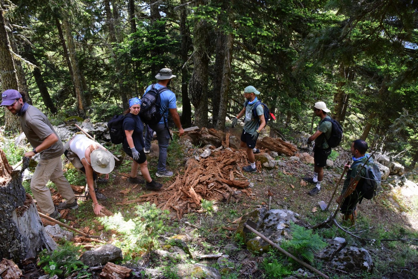 Volunteer Work on the Vardousia Crossing Trail