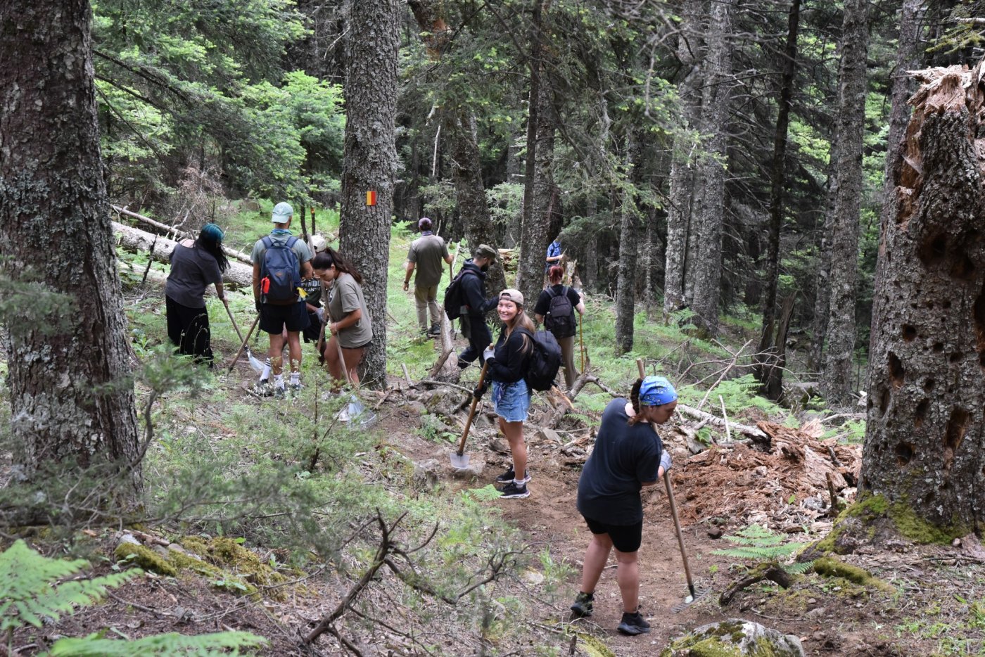 Volunteer Work on the Vardousia Crossing Trail