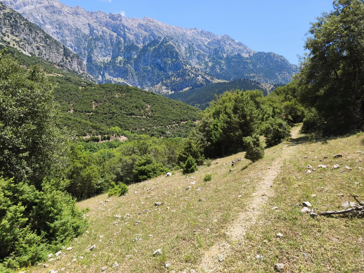 Στο μονοπάτι του Μόρνου με τους εθελοντές των Dorian Paths